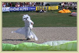 aterrissage de hibou