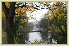 automne dans le parc