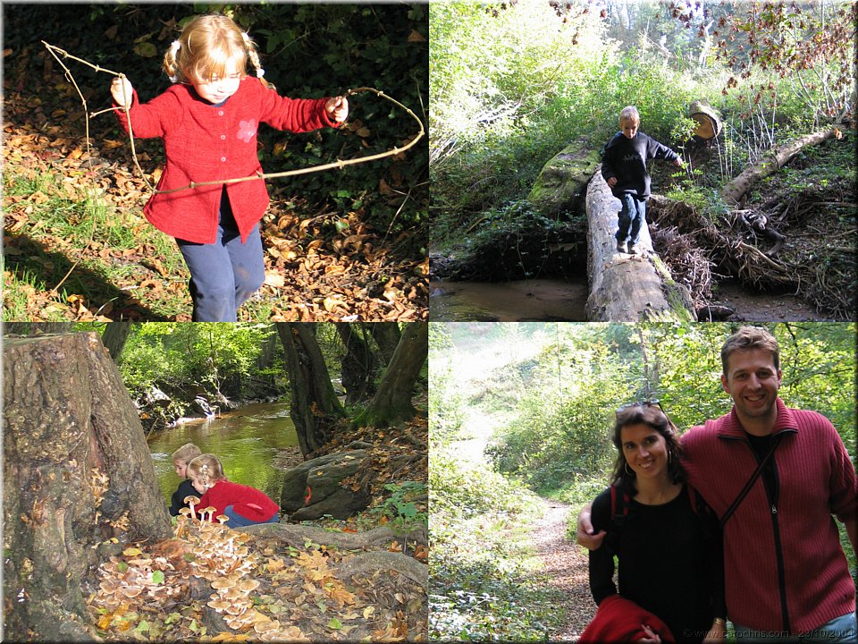 balade en foret.jpg