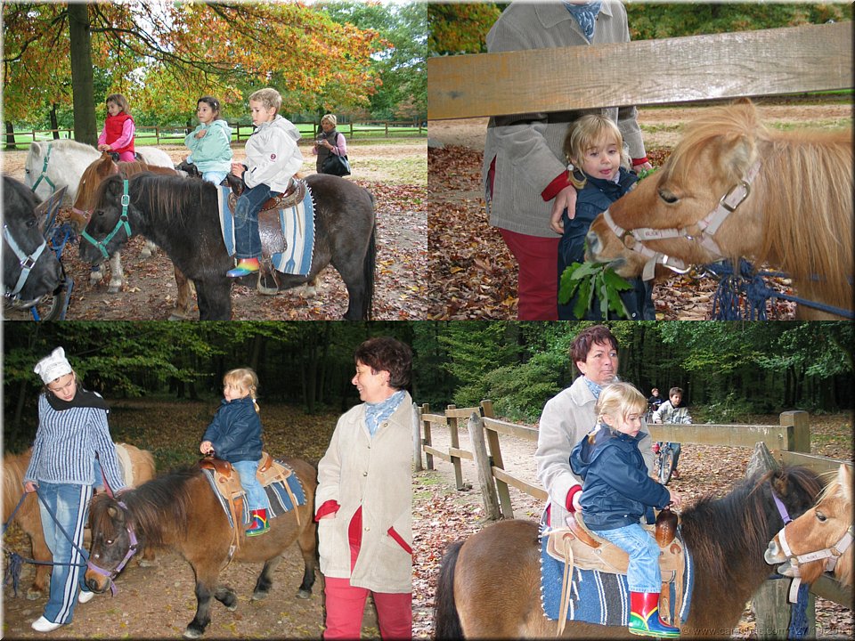 balade en poney.jpg
