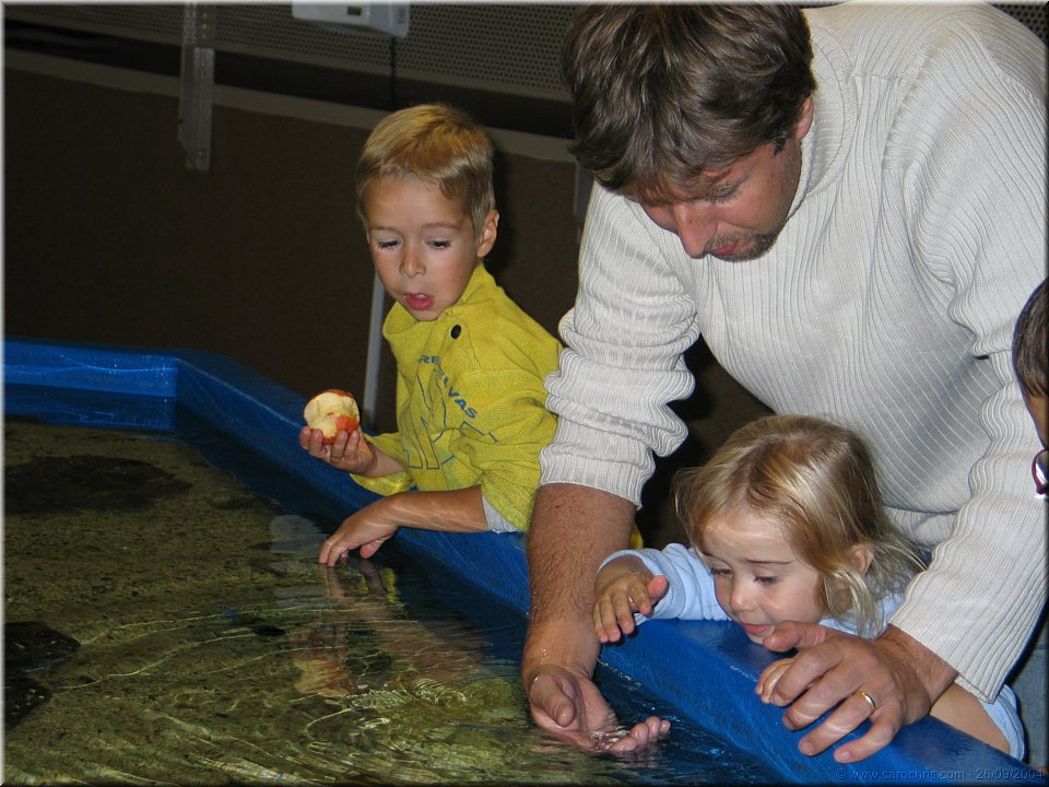 bassin tactile.jpg