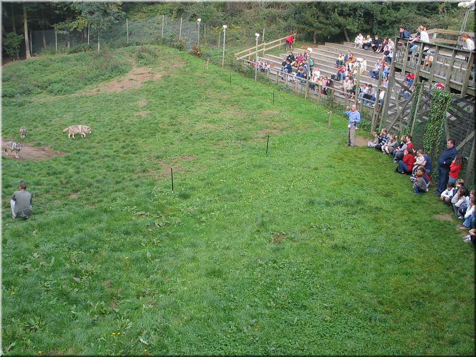 mange avec les loups.jpg