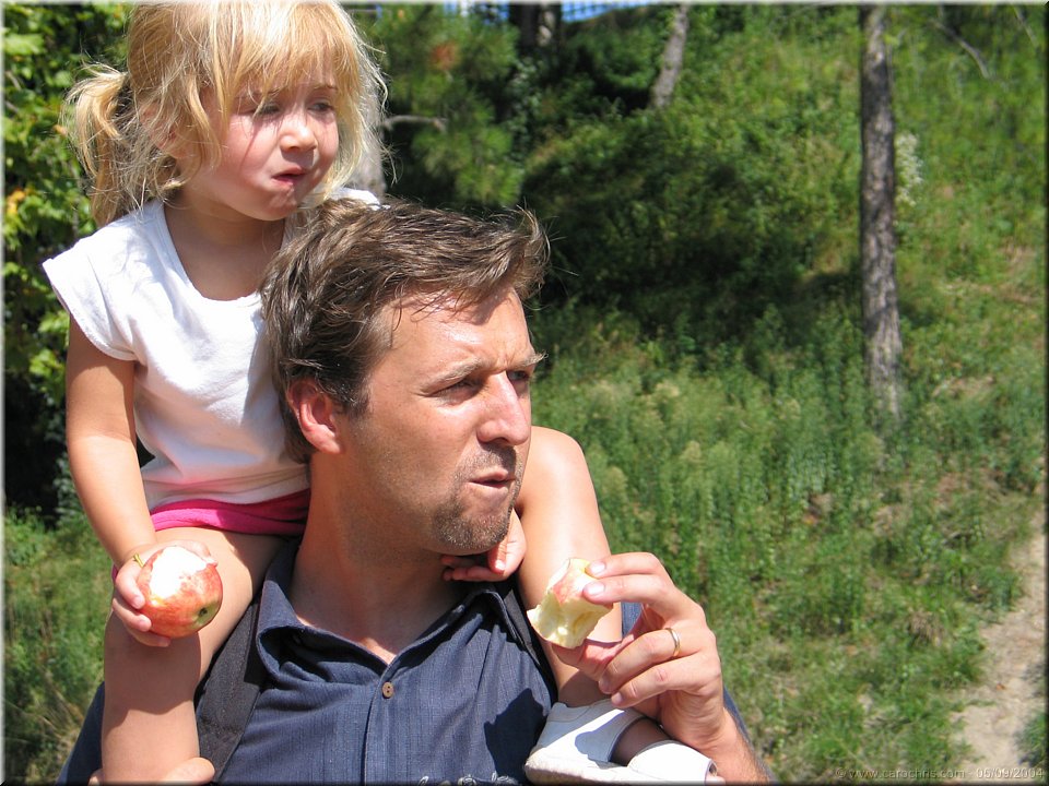 pomme pomme pomme.jpg