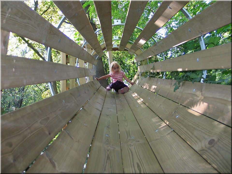 spirale de bois.jpg