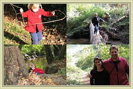 balade en foret