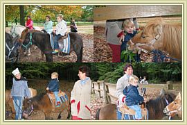 balade en poney
