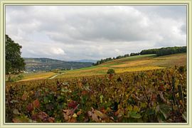 couleurs automnales