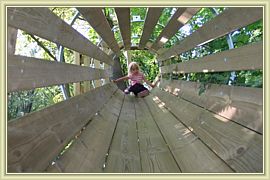 spirale de bois