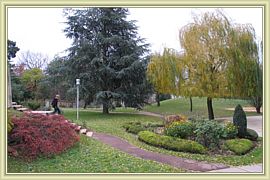 visite du jardin