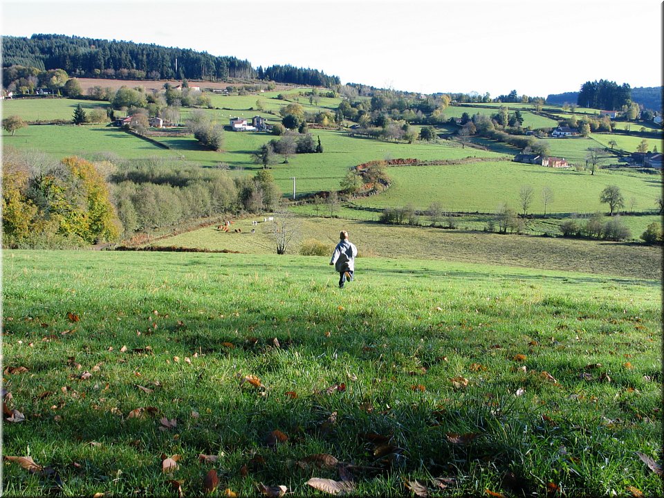a fond la forme.jpg