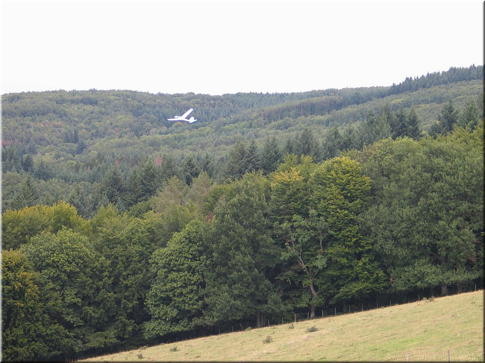 ca plane pour lui.jpg