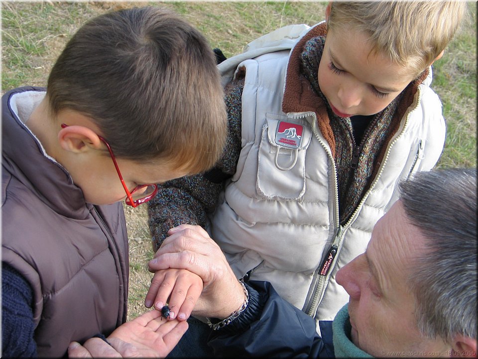 lecon de biologie.jpg