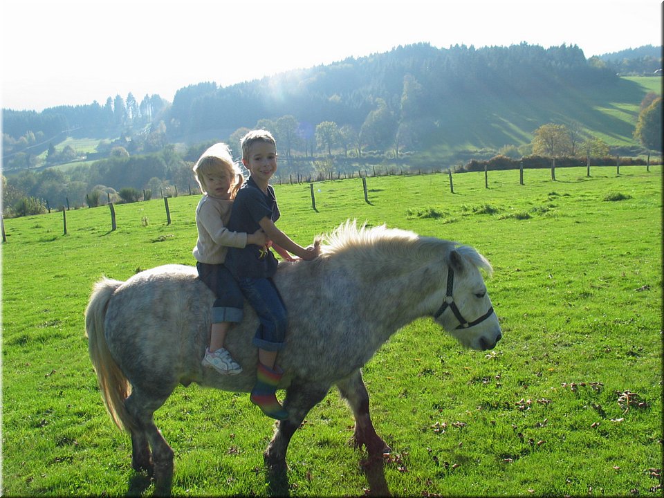 lucky le petit poney.jpg
