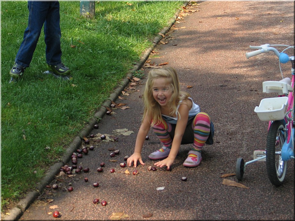 marrons sautes.jpg