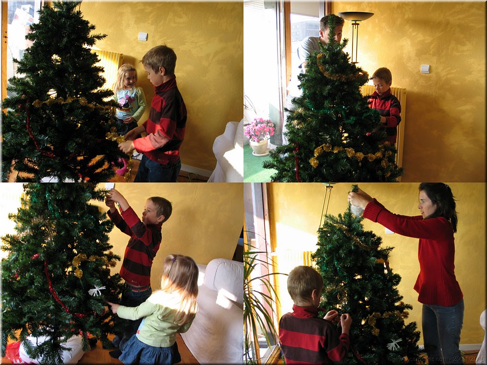 mon beau sapin.jpg