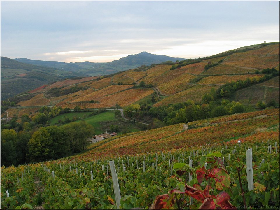 paysages du beaujolais.jpg