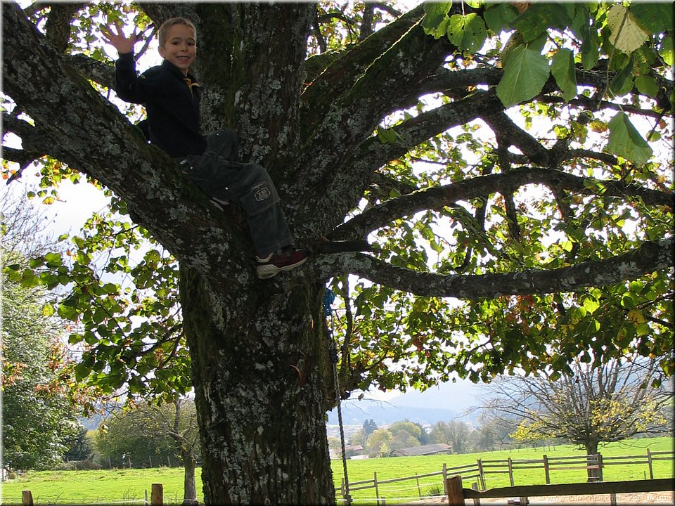 tarzan boy.jpg