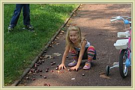 marrons sautes