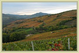 paysages du beaujolais