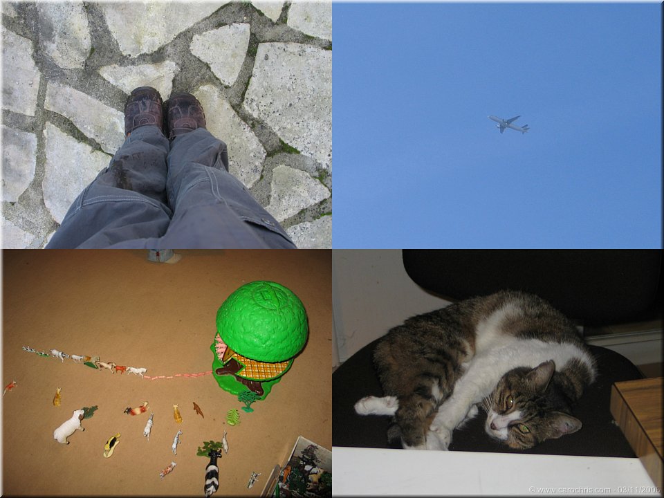 photos artistiques.jpg