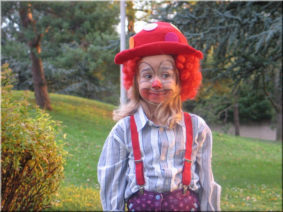 zipo le clown.jpg