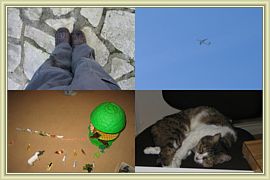 photos artistiques