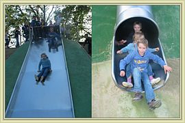 toboggan