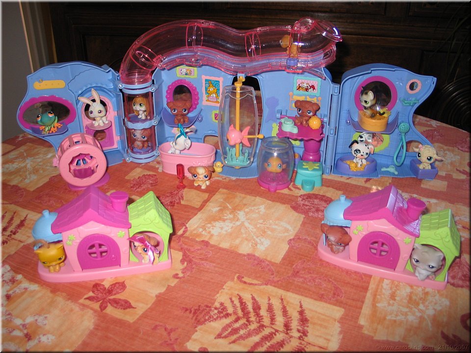 les petits amis de capucine.jpg