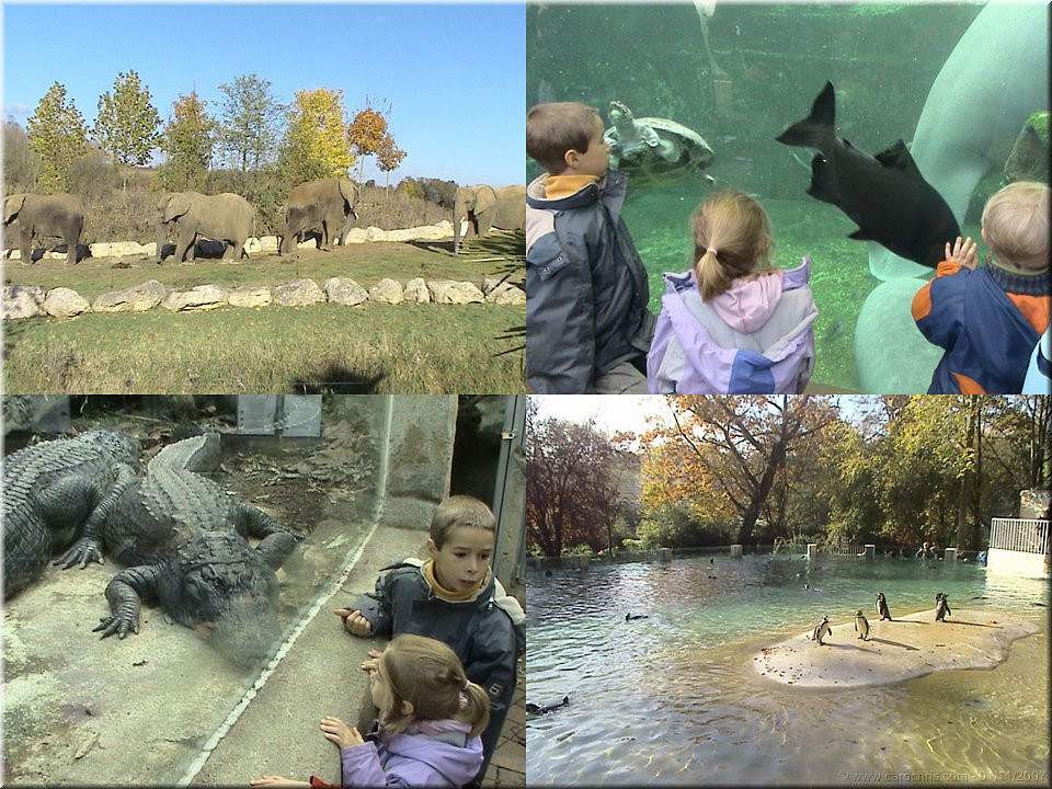 parc de Beauval.jpg