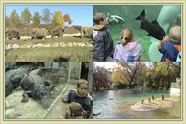 parc de Beauval
