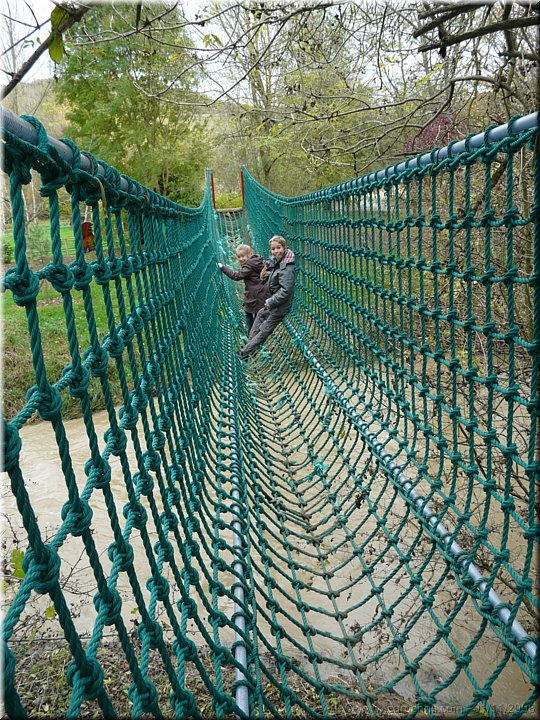 pont de singes.jpg