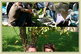 pic nic