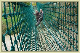pont de singes