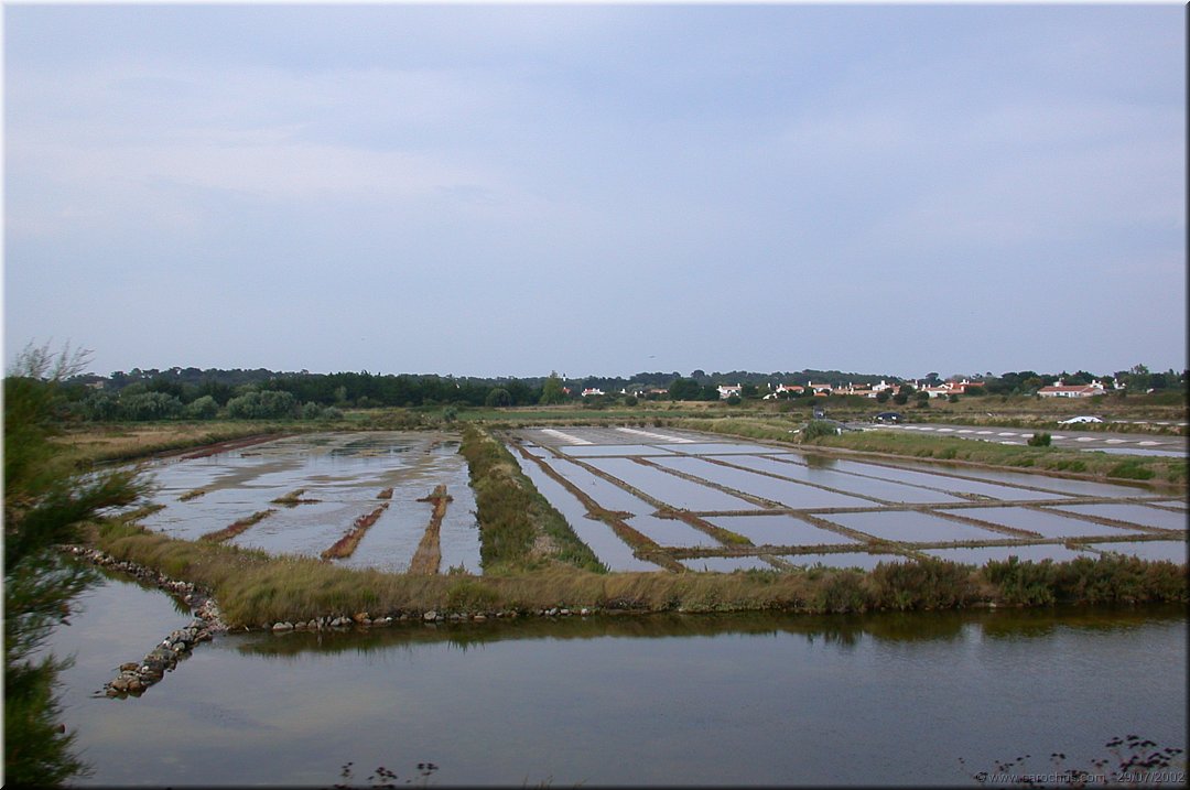marais salants.jpg