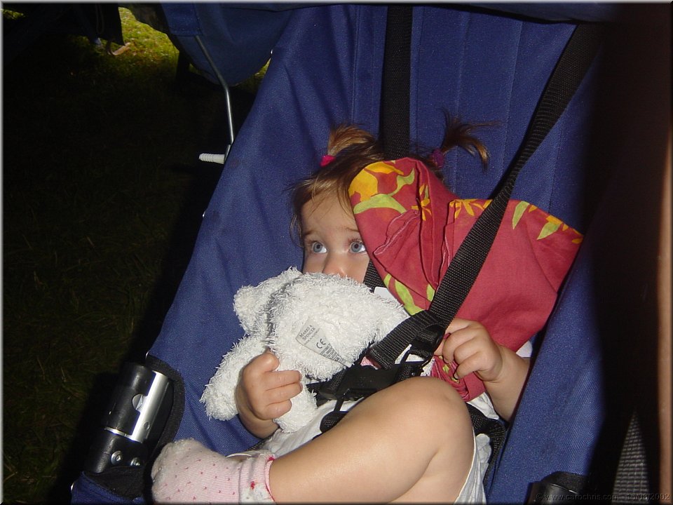 premier cirque de capucine.jpg