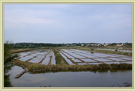 marais salants