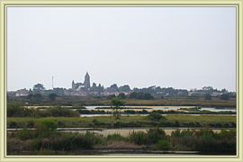 noirmoutiers