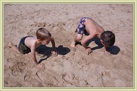 triceratops sur les plages du sud
