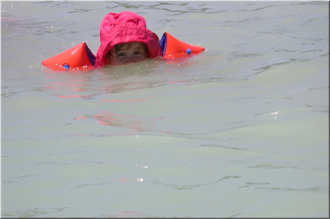 attaque de capucinosaure.jpg