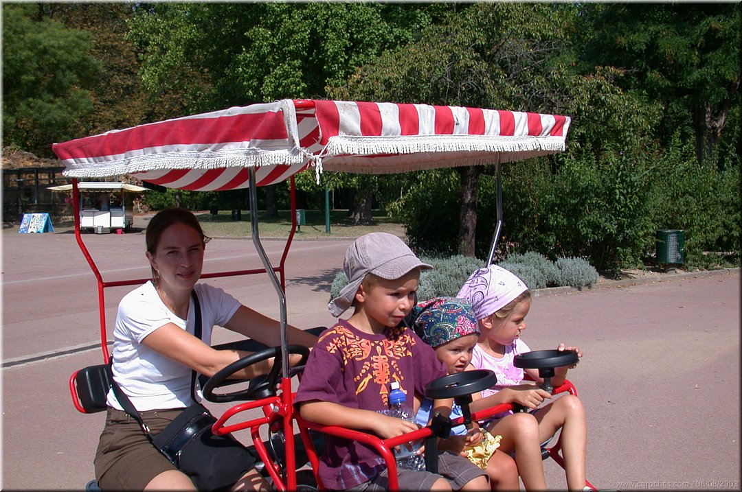 exploration dans le parc.jpg