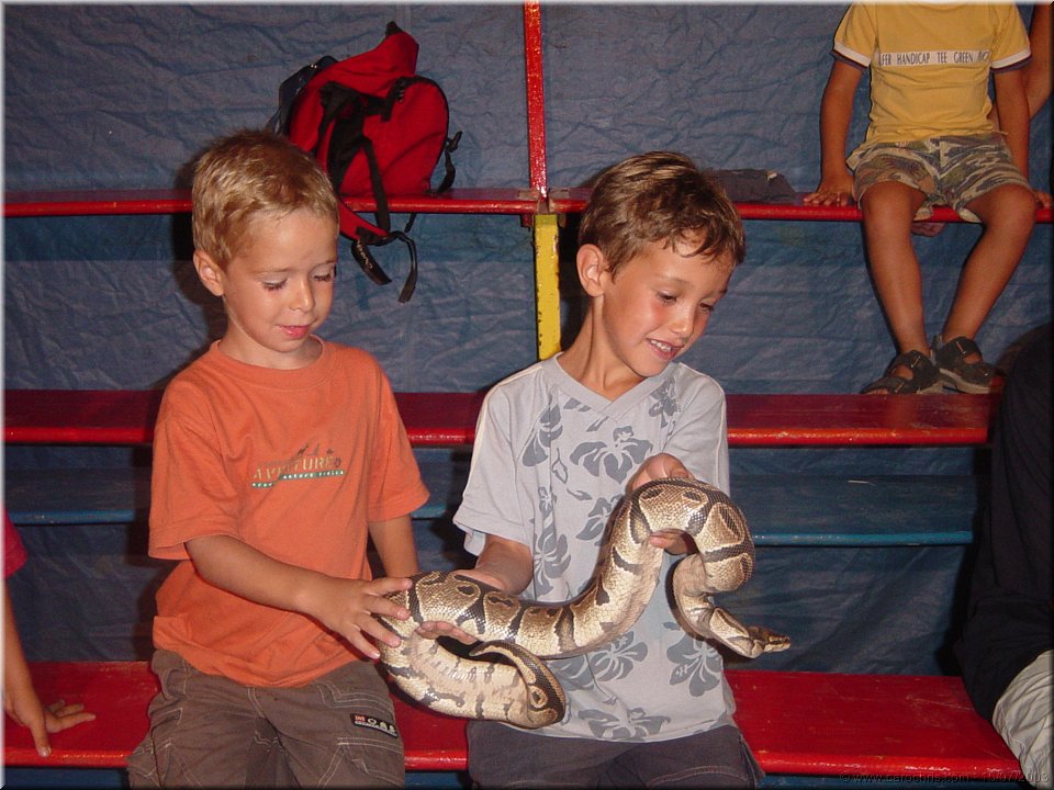 rencontre du troisieme type.jpg