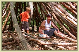 le tipi de bois