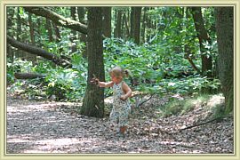 nettoyage de la foret