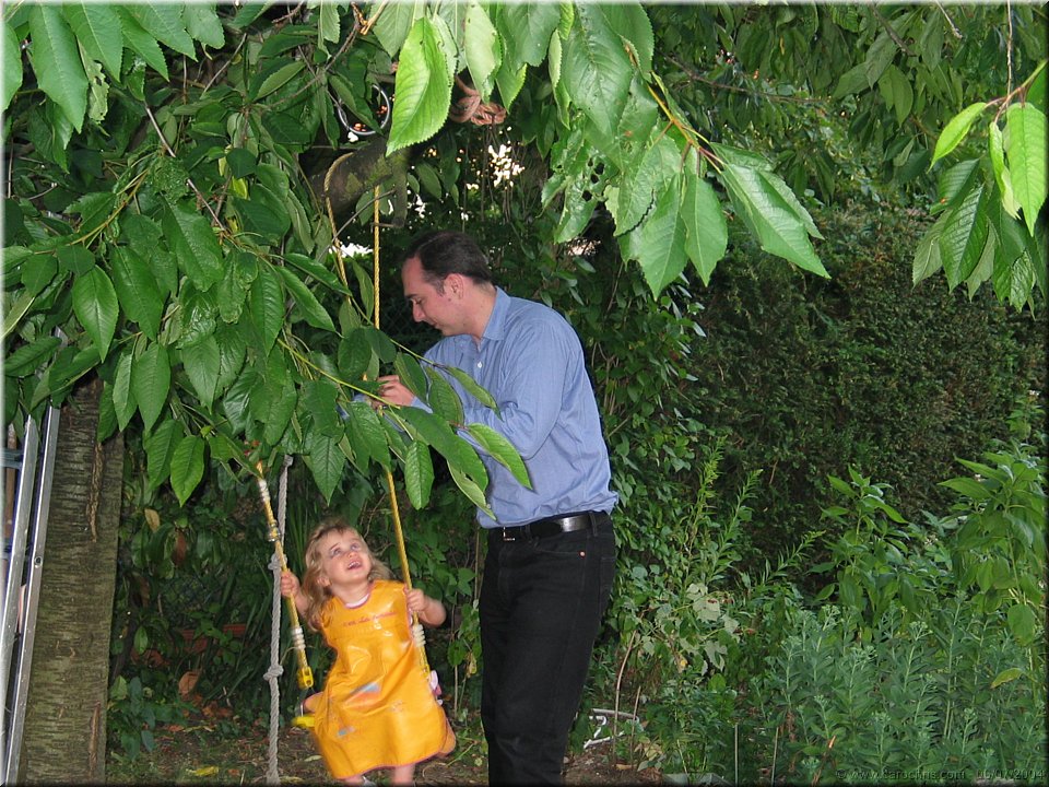 ca balance sous le cerisier.jpg