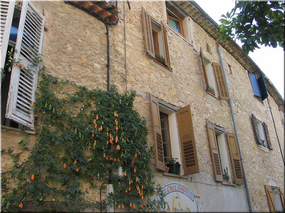 fenetre sur cour.jpg