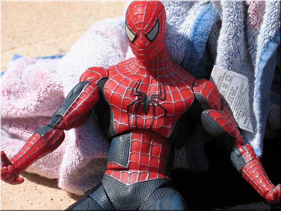 spiderman se repose.jpg