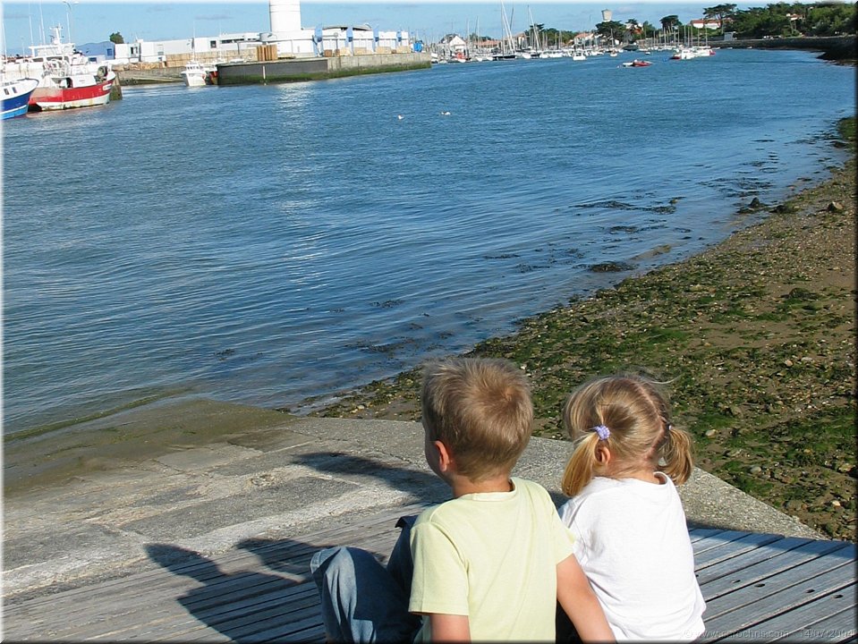 vue sur le port.jpg
