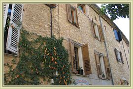 fenetre sur cour