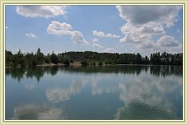 lac surprise
