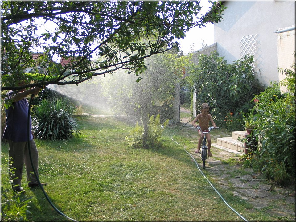 arrosage toutes plantes.jpg